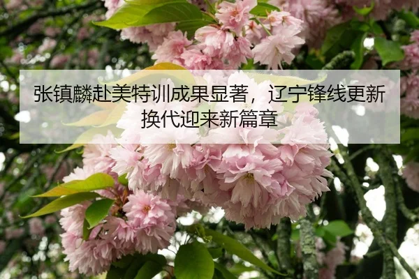 zhang-zhen-lin-fu-mei-te-xun-cheng-guo-xian-zhu-liao-ning-feng-xian-geng-xin-huan-dai-ying-lai-xin-pian-zhang-3-177.jpg