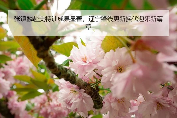 张镇麟赴美特训成果显著，辽宁锋线更新换代迎来新篇章