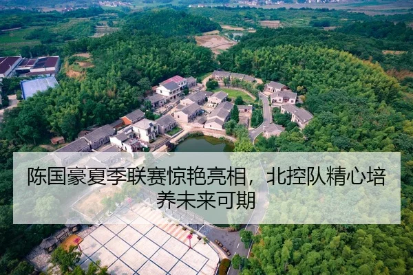 陈国豪夏季联赛惊艳亮相，北控队精心培养未来可期