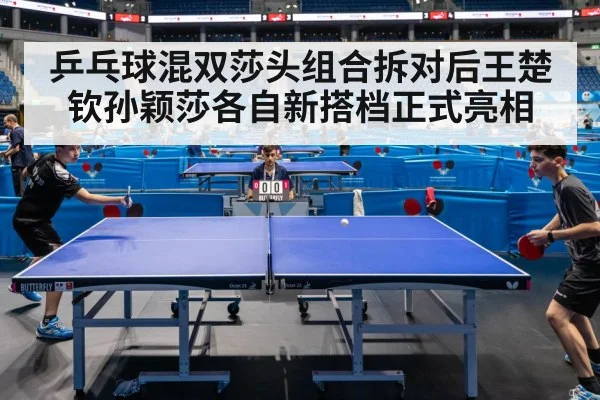 Sun Yingsha table tennis